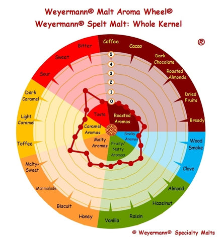 Weyermann® Spelt Malt Aroma Wheel. Spelt Malt flavor profile leans malty-sweet and sweet
